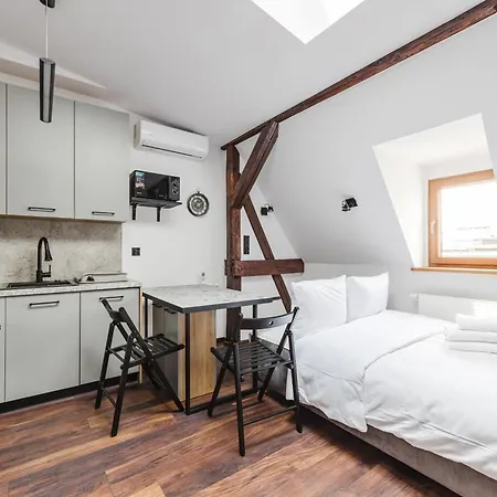 Rynek Jezycki Roof Loft بوزنان