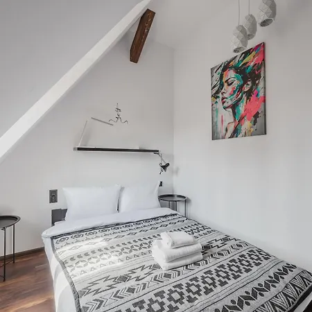 Rynek Jezycki Roof Loft * Poznan