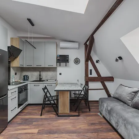 Rynek Jezycki Roof Loft Apartament *