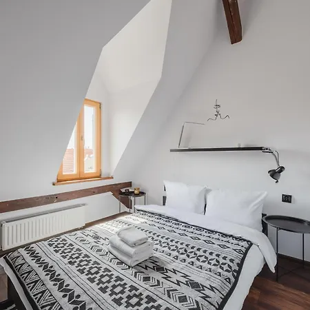 Rynek Jezycki Roof Loft Apartment Poznan