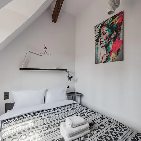 Rynek Jezycki Roof Loft Apartment Poznan