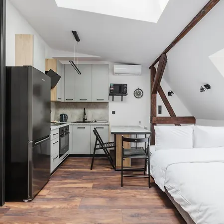 Rynek Jezycki Roof Loft Apartment *